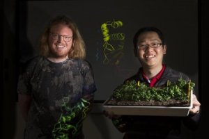 Developing highly drought-resistant crops.jpg